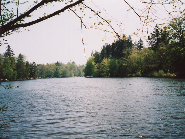 Rotwildpark