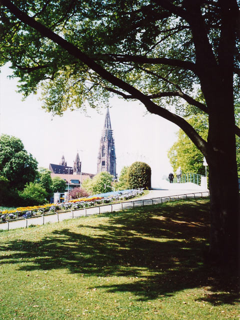 Munster cathedral