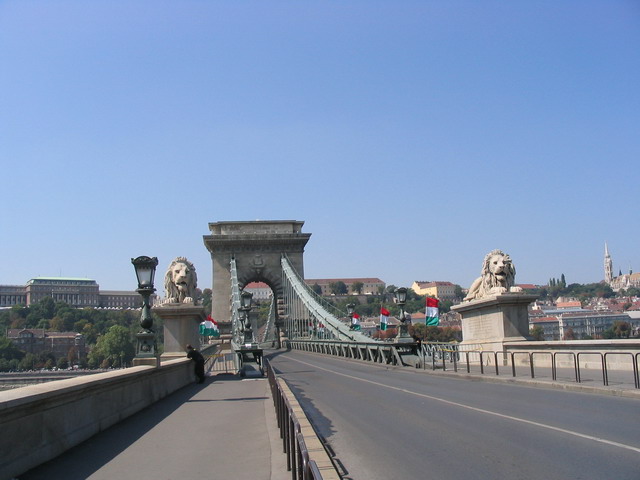 Lions statues