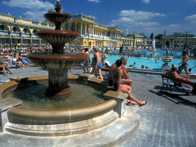 The Baths of Budapest