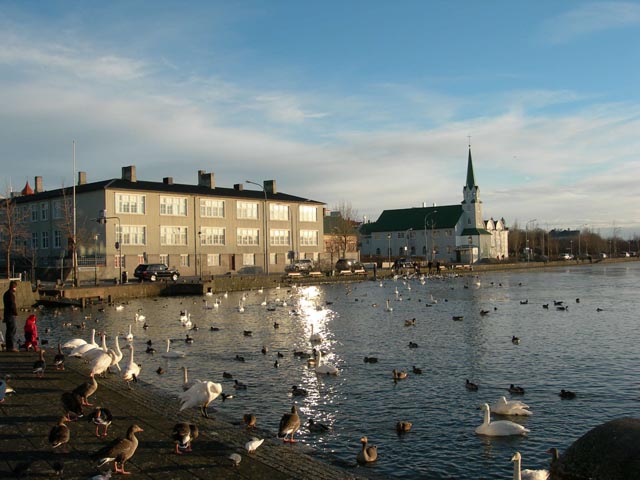 Tjörnin