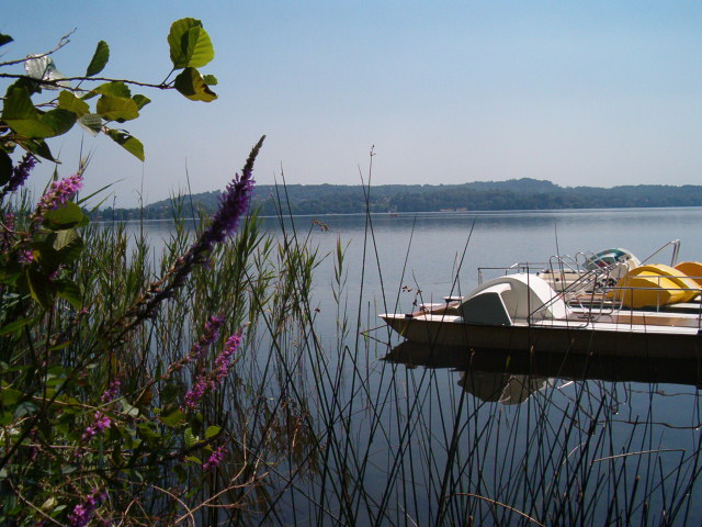 Lac majeur