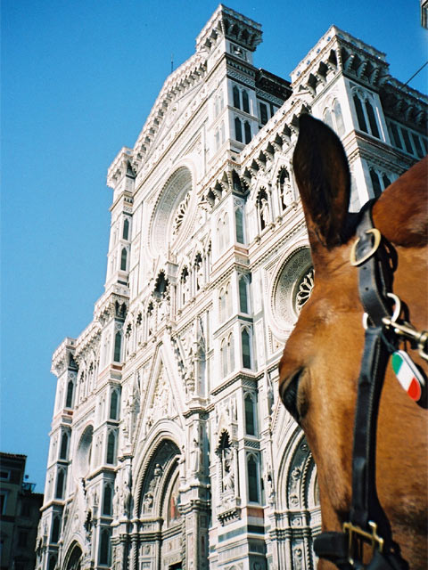 Santa Maria del Fiore