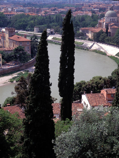 Verona