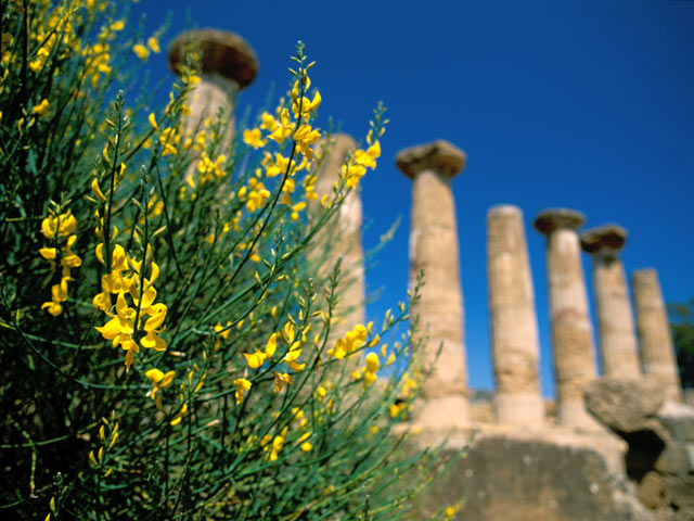 Valley of the Temples