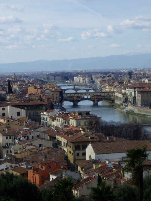 Bridges of Florence