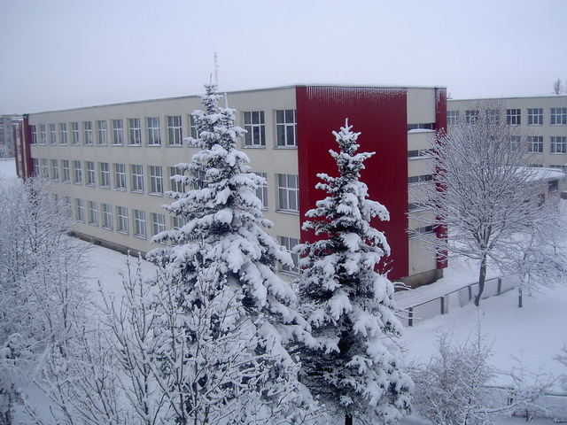 Dziugas secondary school
