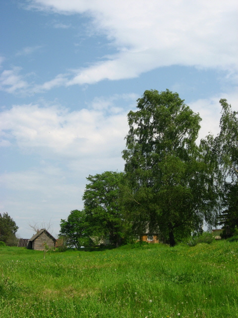 Spring in Salakas