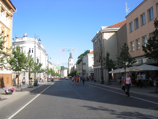 Cathédrale de Vilnius