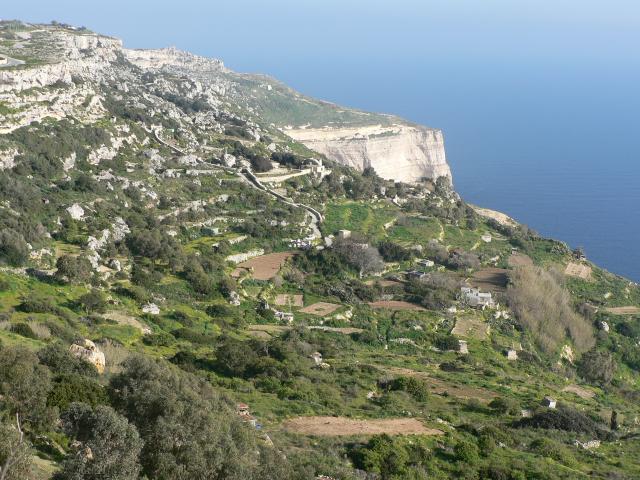 Dingli