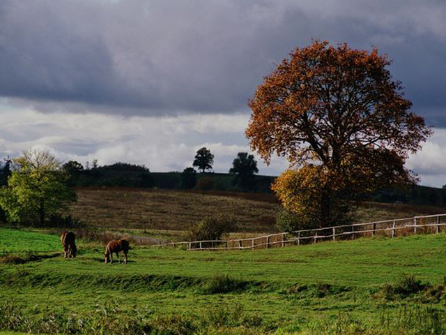 Landscape