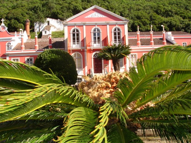 Termas dos Cucos