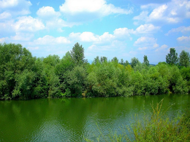 Jiu River