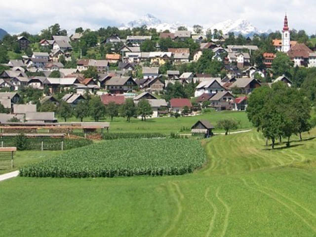 Village Ljubno