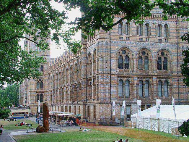 Muséum d'histoire naturelle de Londres