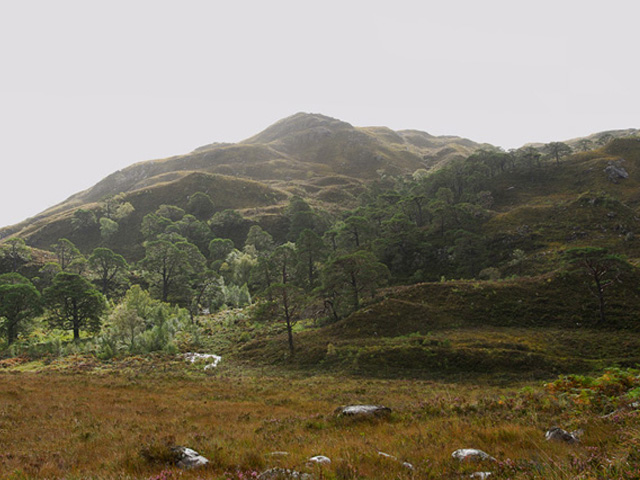 Wester Ross