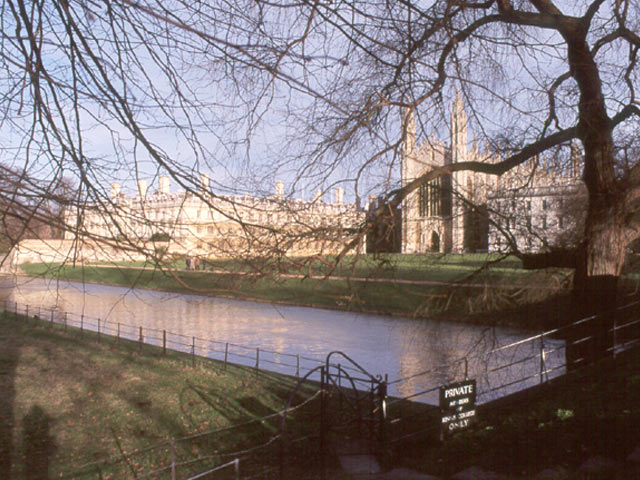 King s College