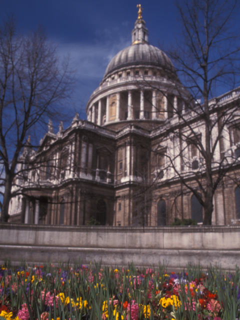 Cathedral Dome