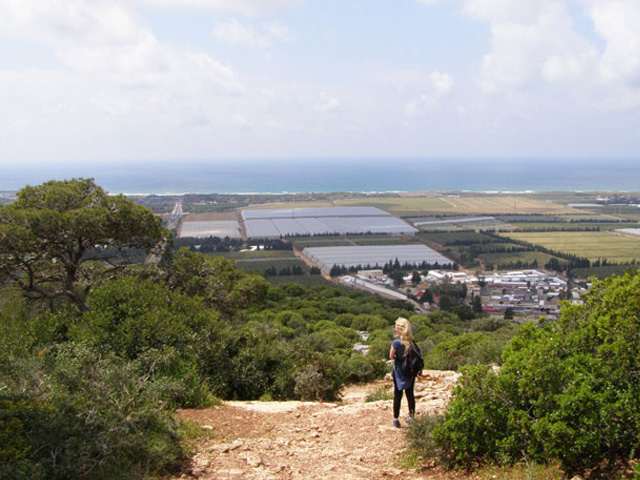 Mediterranean Sea