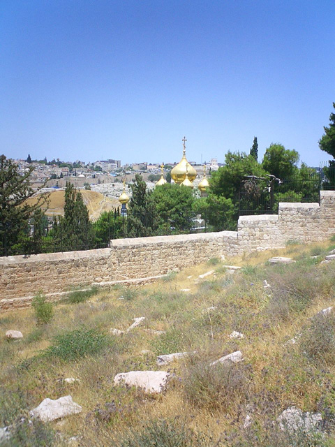 Orthodox Church