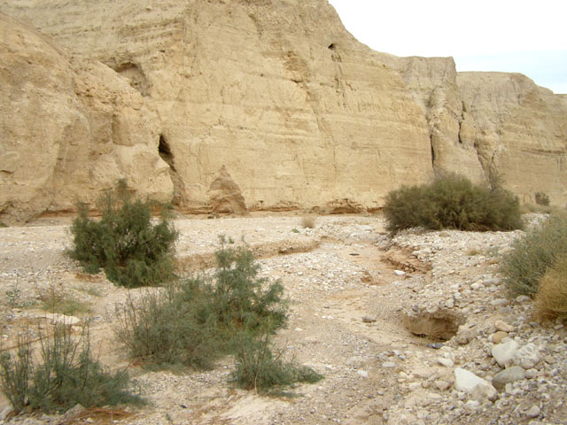 Judea Desert