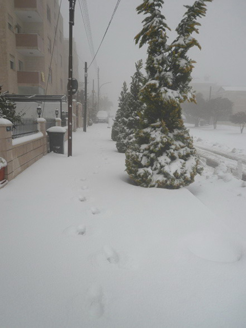 Amman snow