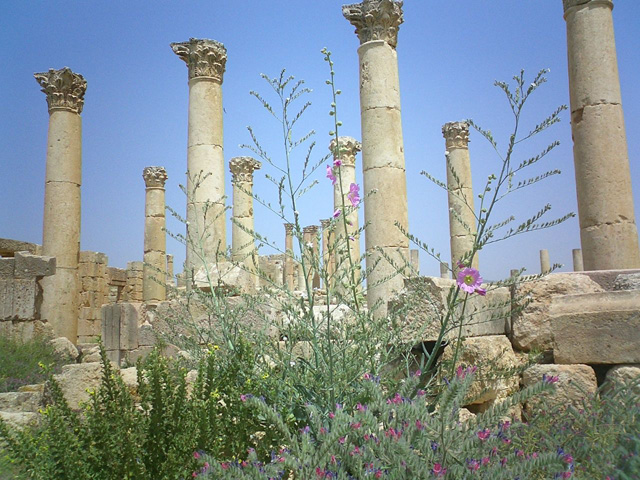 Jerash