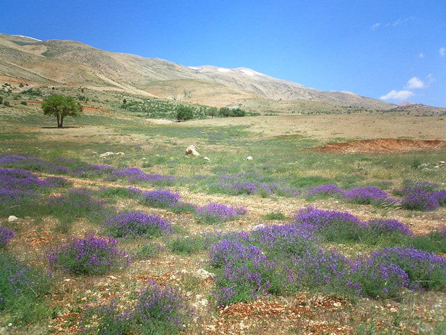 Aainata countryside