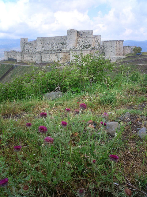 Crac des Chevaliers