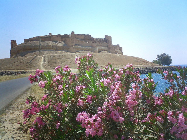 Lac Al-Assad