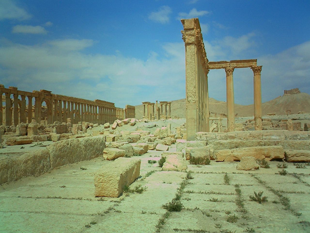 Palmyra