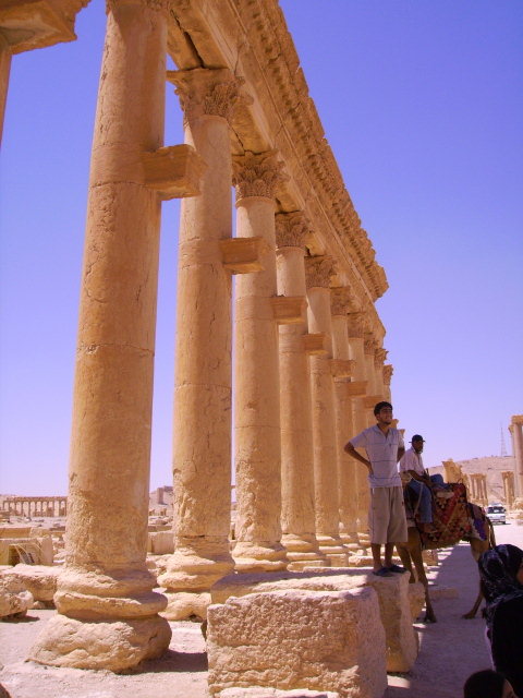 Palmyra