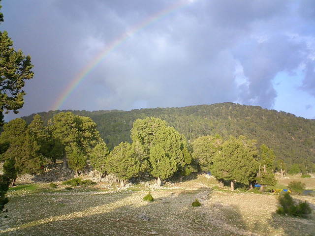 Rainbow