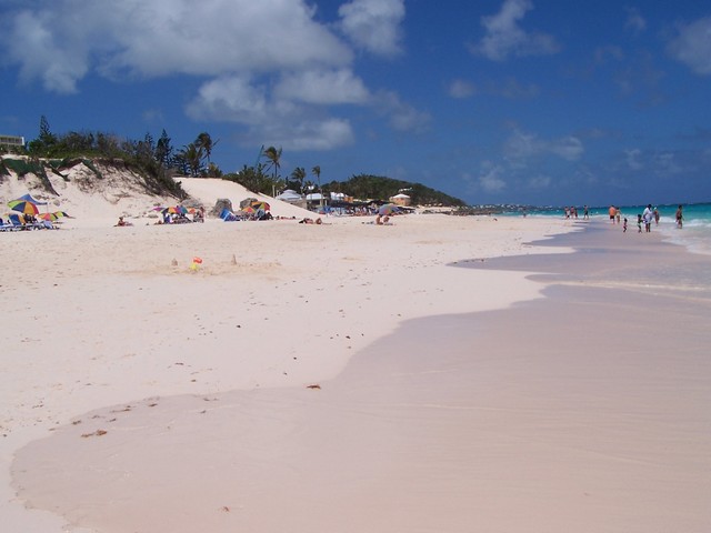 Coral beach