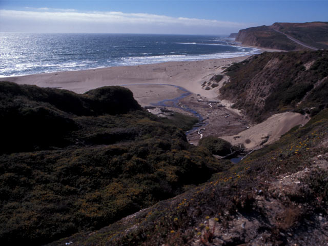 San Gregorio Beach