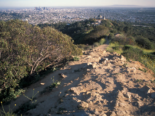 Griffiths Observatory