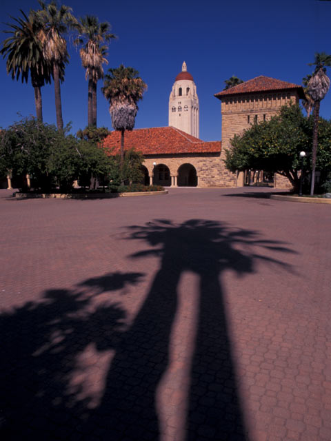 Stanford