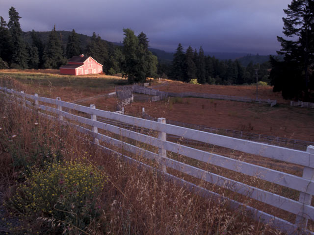 Barn