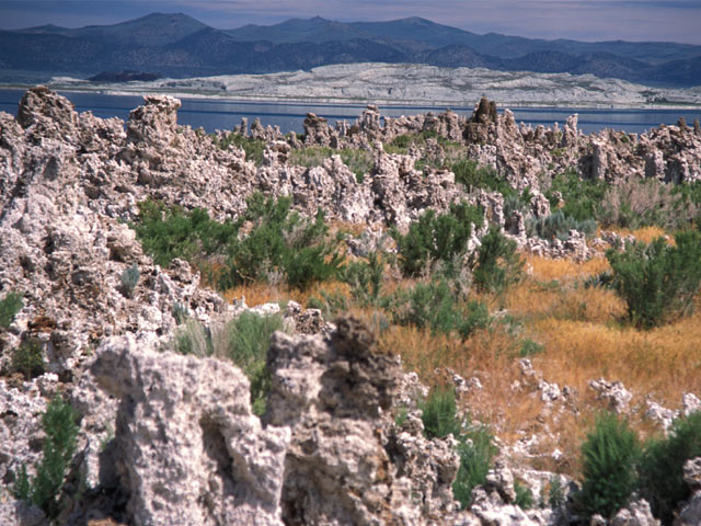 Mono Lake