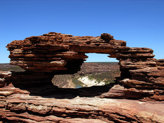 Nature s Window