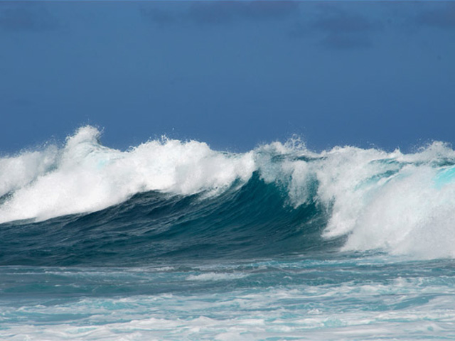 Edwards Pt coast