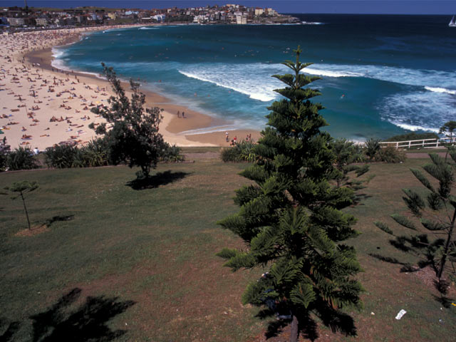 Bondi beach