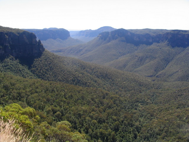 Panoramic view