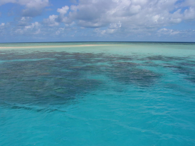 Grande barrière de corail