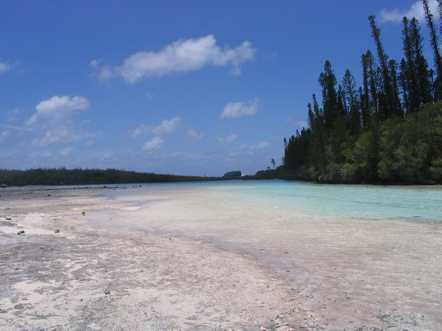 Piscine Naturelle