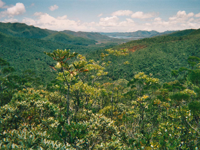 Parc de la Rivière Bleue