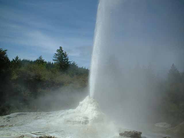 Geysers