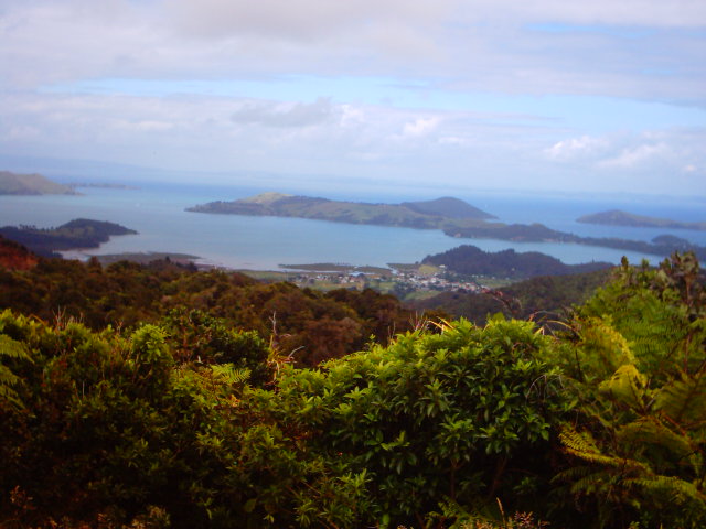 Tauranga