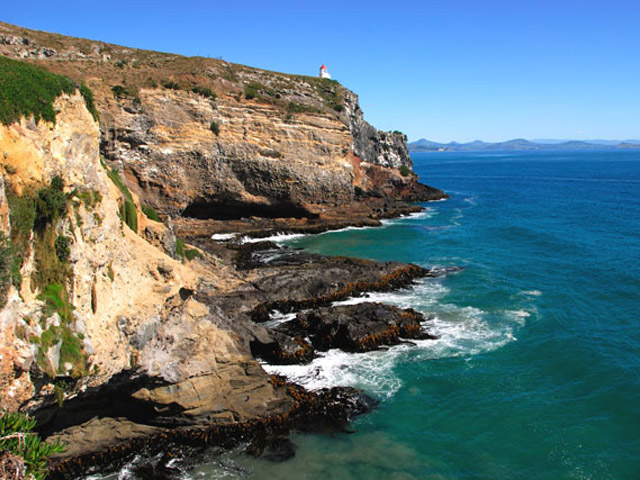 Taiaroa Head