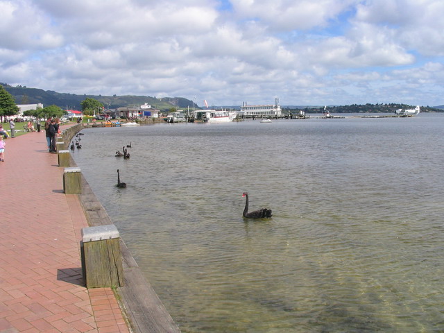 Lake Rotorua